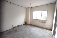 6163381123661541837-1