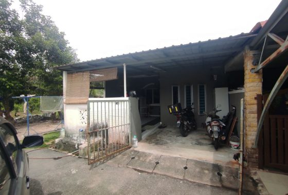 6127355178500869332 (2)