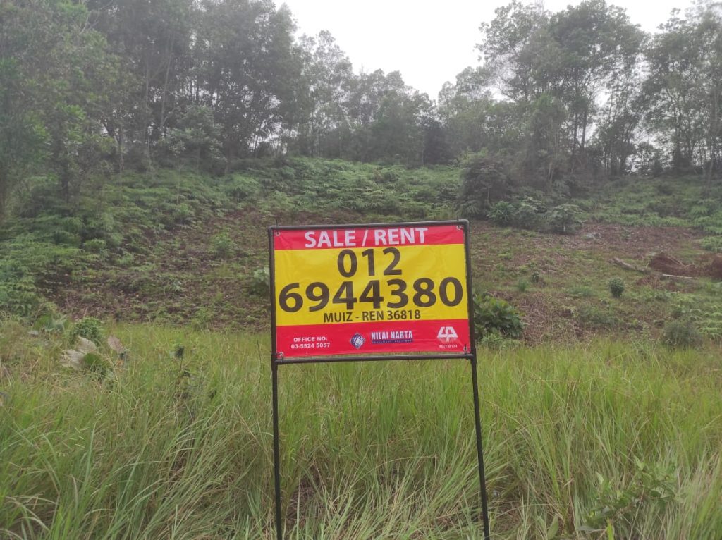 whatsapp image 2026 01 24 at 13.08.10