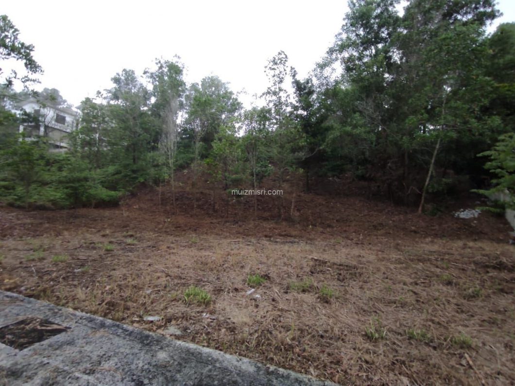 whatsapp image 2023 01 16 at 16.24