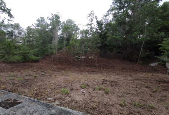 whatsapp image 2023 01 16 at 16.24